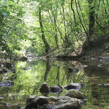 Bed and Breakfast Rosandra *